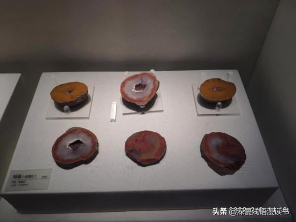 2022年2月6日參觀地質博物館之一：參觀順序經驗談