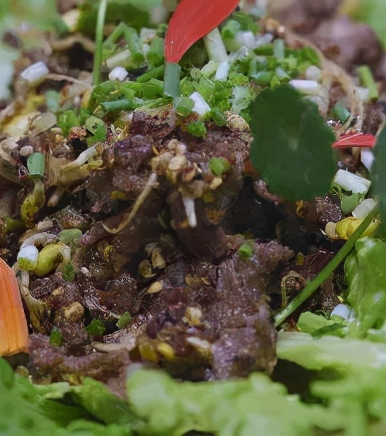 外出住酒店,足不出戶即可享受G+TV大屏定製服務 外出住酒店,足不出戶即可享受G+TV大屏定製服務