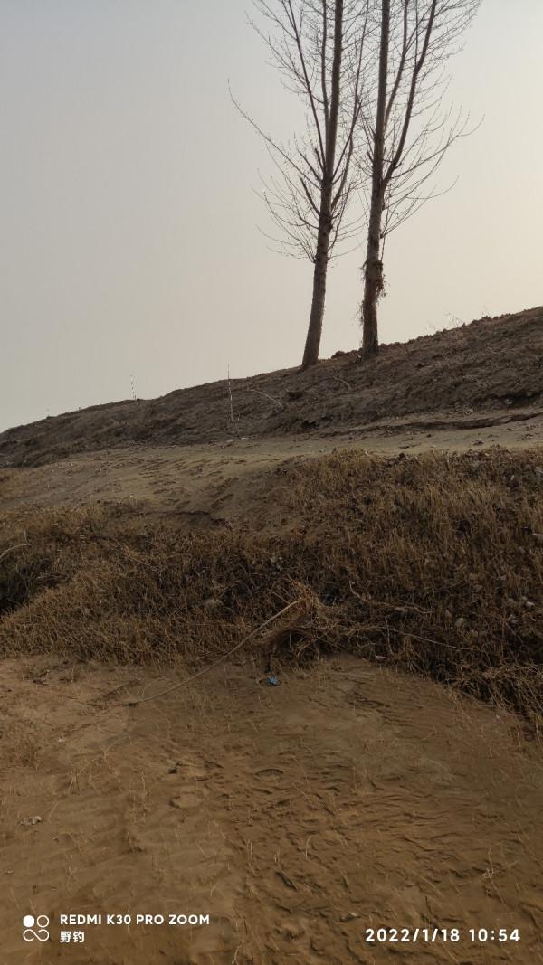 冬日再戰沁水河畔，大鯽大鯉收穫爆護