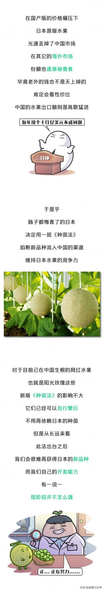 日本悄然發動水果戰爭!關乎我們每個人的水果自由 日本悄然發動水果戰爭!關乎我們每個人的水果自由