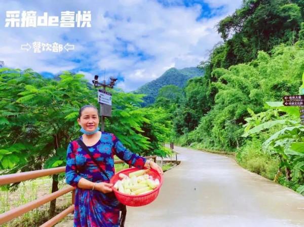 週末幹什麼—體驗野生廚房呀