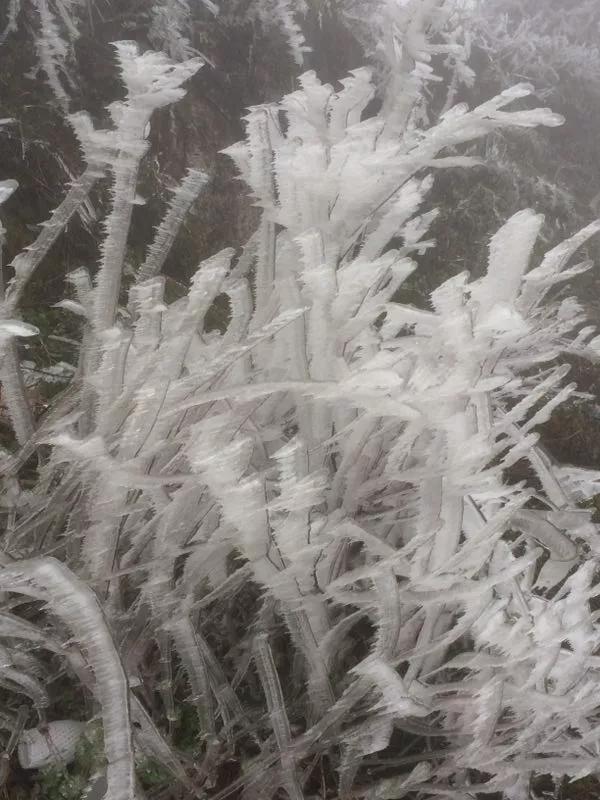 白臘素裹真神山——（二）穿金戴銀徒步線（羅平）