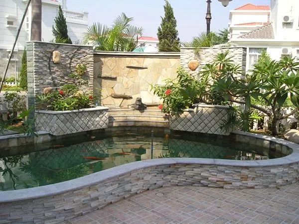 這些過濾的雷，你踩過嗎？走出過濾誤區，才能輕鬆養魚