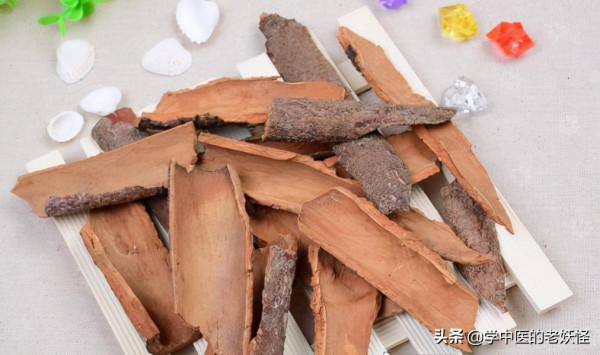 每日一中藥——肉桂