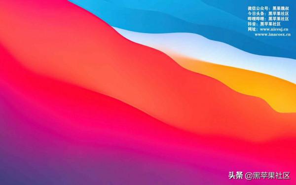 macOS Monterey 12.1Beta4OC 0.7.5 / Cl 5142 / PE 三分割槽原版黑蘋果映象