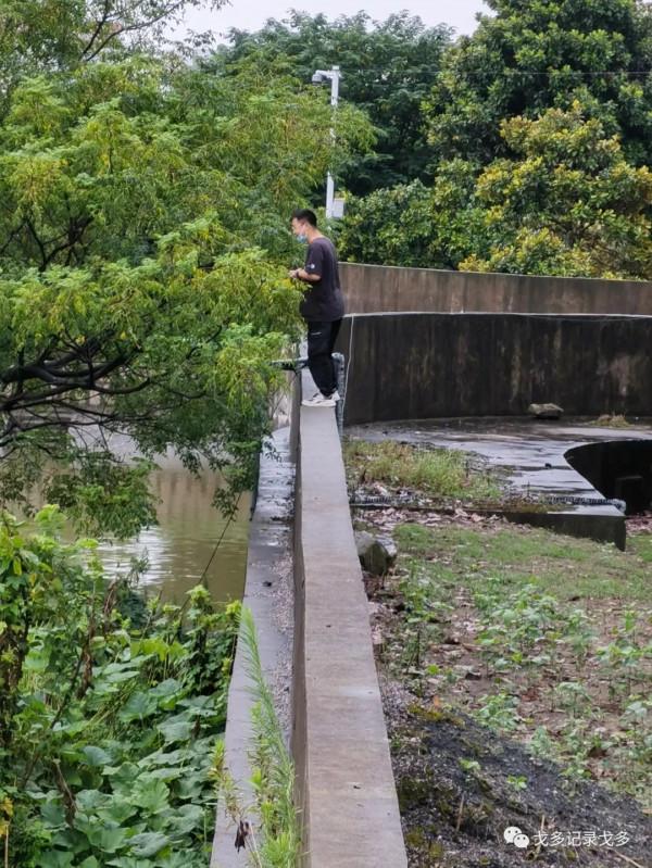 快樂遊釣遇見野猴,一路上意外多多,驚喜不斷 快樂遊釣遇見野猴,一路上意外多多,驚喜不斷