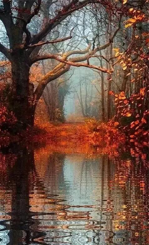 美呆的人間仙境