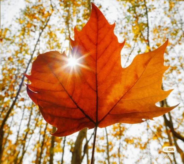 臨近三十歲的女人，現在活成了什麼樣子？