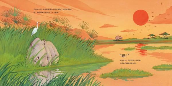 中國的“凱迪克”大獎又頒獎了，這些優秀，精良的國產繪本要推進