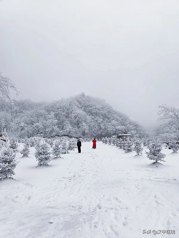宛如仙境！漢江源景區下雪啦