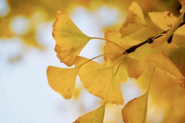 五彩斑斕!一起來雲遊宜居的趙巷冬日街景 五彩斑斕!一起來雲遊宜居的趙巷冬日街景