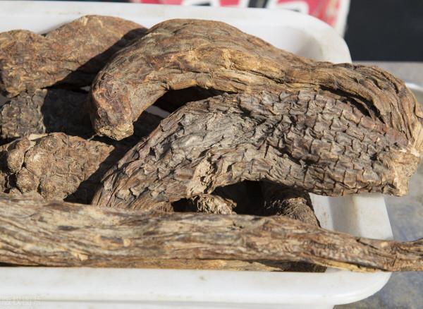 糖尿病人手腳麻木疼痛怎麼緩解？中醫8味藥材，或能幫你祛麻止痛