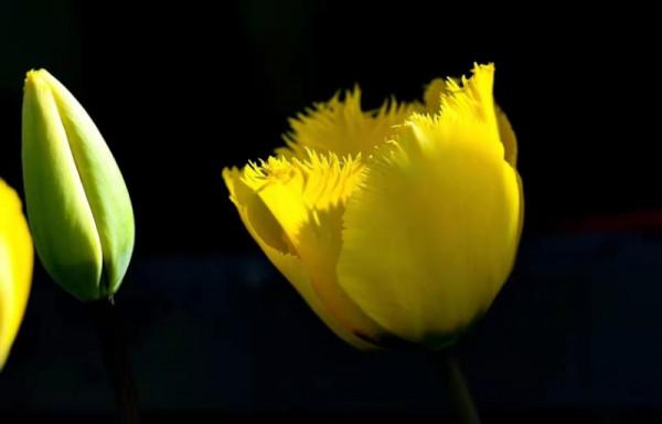 圖組丨踏著春光，迎接彌勒春暖花開