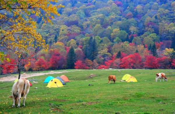 省內這幾條自駕路線,承包了最撩人的秋色!週末出發吧 省內這幾條自駕路線,承包了最撩人的秋色!週末出發吧