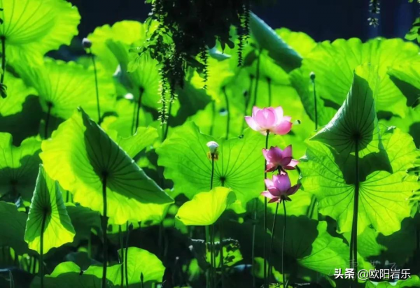 2022，遇見更好的自己！12個月，12種色彩，​遇見12份美麗好心情