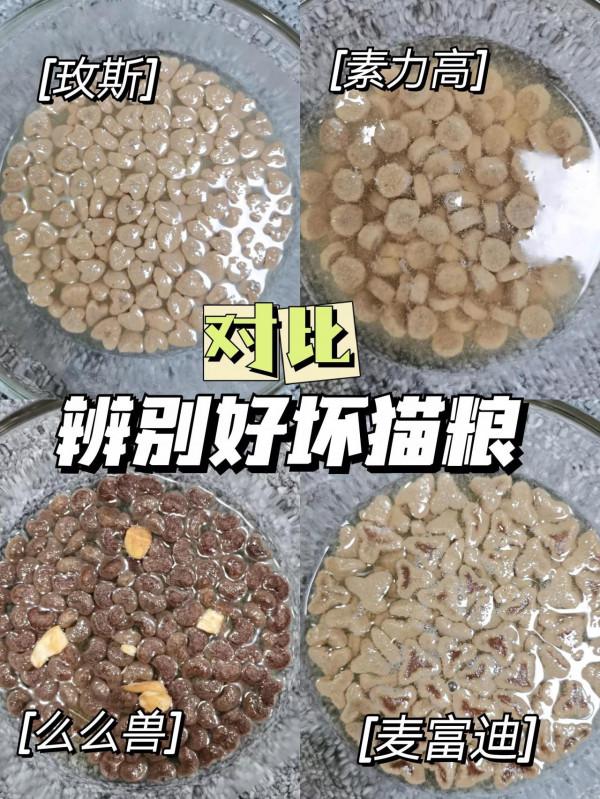 如何辨別好壞貓糧你造嗎？