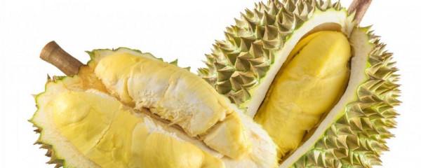 吃水果能減肥嗎 減肥期間這些不能吃 吃水果能減肥嗎 減肥期間這些不能吃