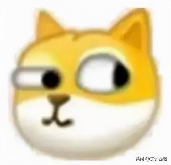 天哪我嗑的cp成真了？還單身的95花沒幾個了吧