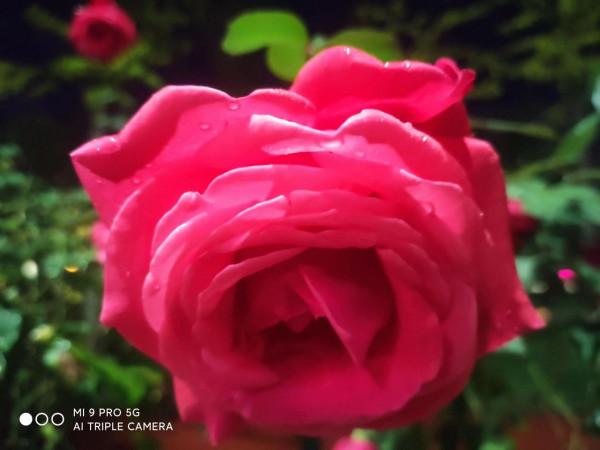 忘掉了時光，怎麼會快快老去？