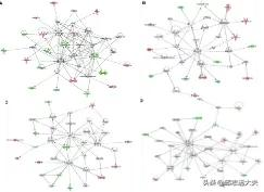 一文解鎖機制研究神器——IPA分析 一文解鎖機制研究神器——IPA分析