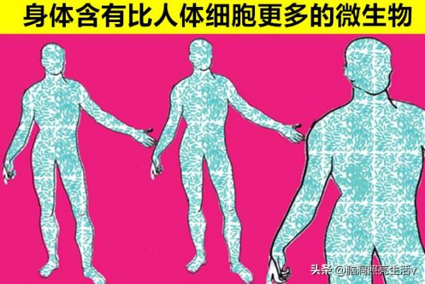 和人體密切相關，但卻讓大多數人都不瞭解的9個冷知識