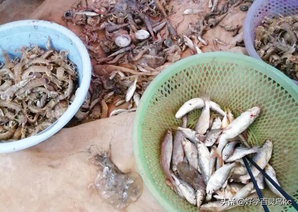 體驗出海打漁的樂趣 體驗出海打漁的樂趣