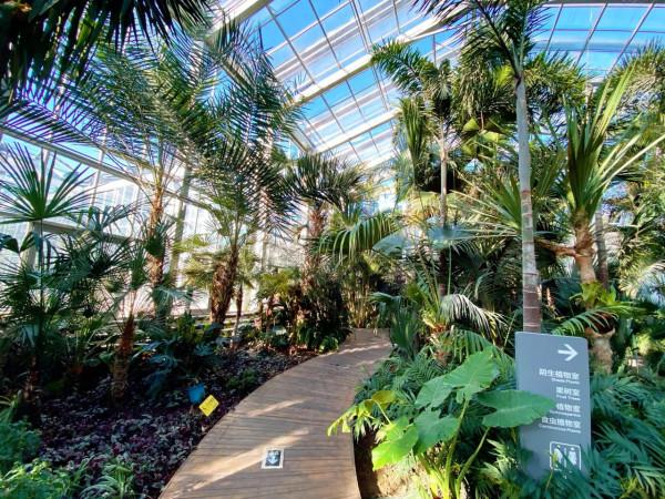 北京週末去哪兒?冬天室內遊玩遛娃的好地方!門票只要10塊錢 北京週末去哪兒?冬天室內遊玩遛娃的好地方!門票只要10塊錢