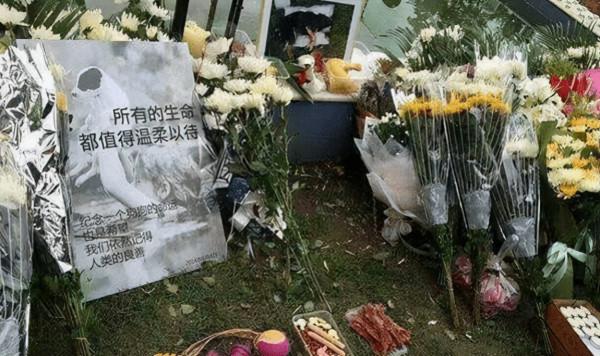 2003年，非法獲利26000美元的軍事間諜馬培明落網，結局大快人心