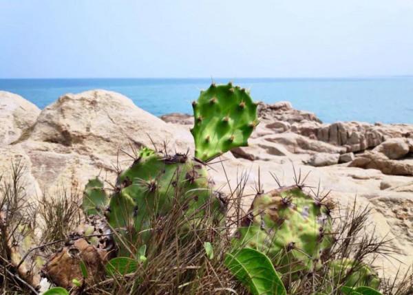 海南這些奇怪冷知識，你敢信麼？