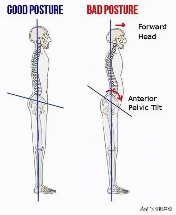 超詳細！10個瑜伽體式，教你循序漸進肘倒立
