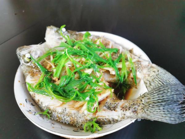 小溫釣魚記之採花（Crappie）大盜
