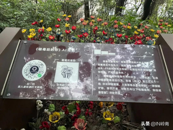 秋日遊園，這兩個黃埔小眾公園是個好去處