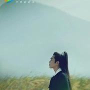 張若昀主演《雪中悍刀行》，海報釋出，能拍出小說那種感覺嗎？