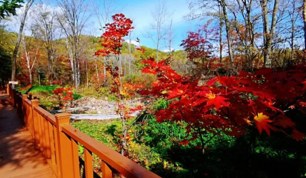 這個十月， 敦化寒蔥嶺許你一個浪漫的秋季