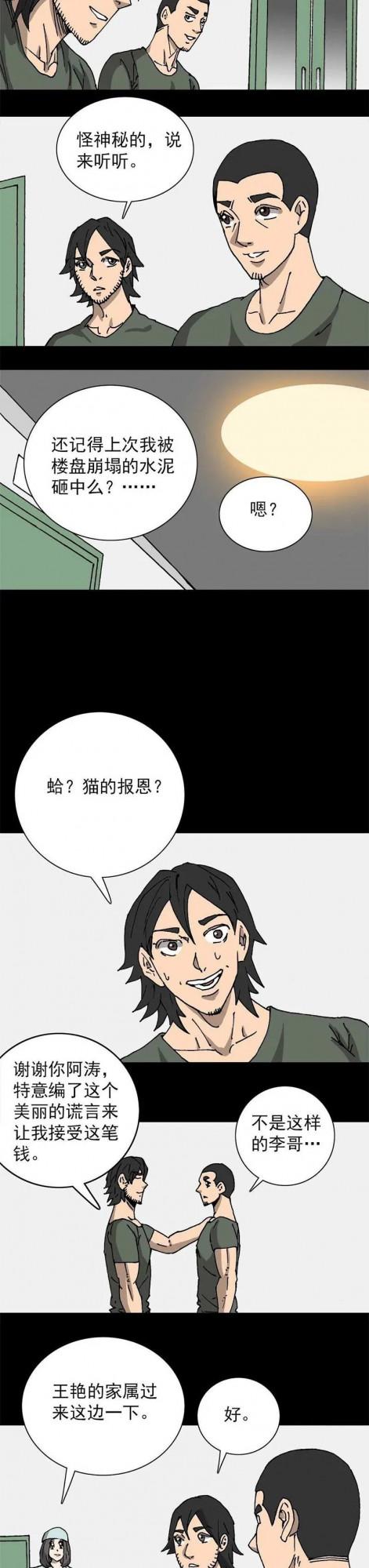 漫畫：必應錦鯉