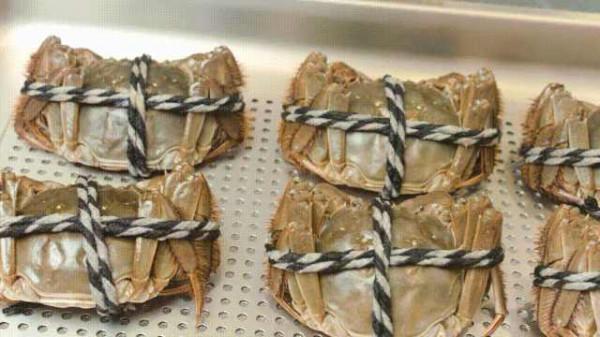 電商爆款機王再升級！森歌T3BZ蒸箱整合灶上手體驗