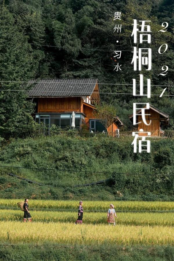 貴州梧桐山民宿丨賞秋季稻田梯田，打卡美宿