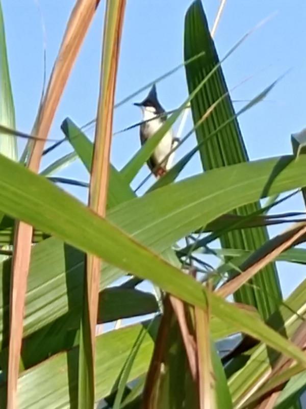 人到中年開始信命了，相信人一出生老天就註定了你一生的命運了