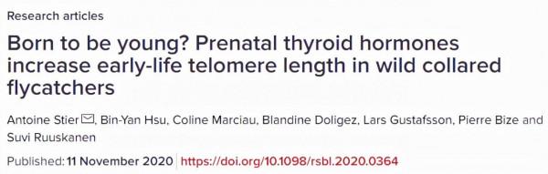 甲狀腺激素讓胎兒出生後更年輕,抗衰老能從“生前”開始? 甲狀腺激素讓胎兒出生後更年輕,抗衰老能從“生前”開始?