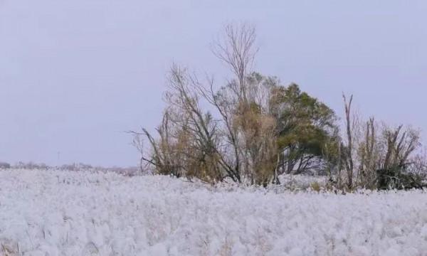 這是山東,東營! 這是山東,東營!