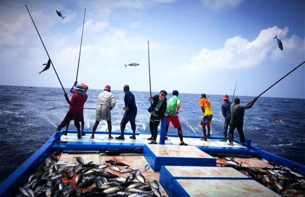 男人為了釣魚能有多瘋狂?在海上漂了10年,解鎖上千魚種成就 男人為了釣魚能有多瘋狂?在海上漂了10年,解鎖上千魚種成就