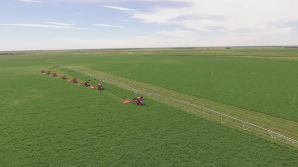 給“象”樣的爸爸,來個“象”樣的行動 給“象”樣的爸爸,來個“象”樣的行動