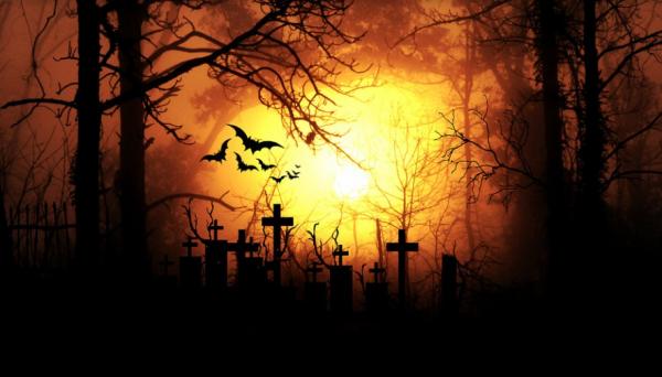 它們是地球上,唯一真正會飛翔的哺乳動物,可是卻不怎麼引人注目 它們是地球上,唯一真正會飛翔的哺乳動物,可是卻不怎麼引人注目