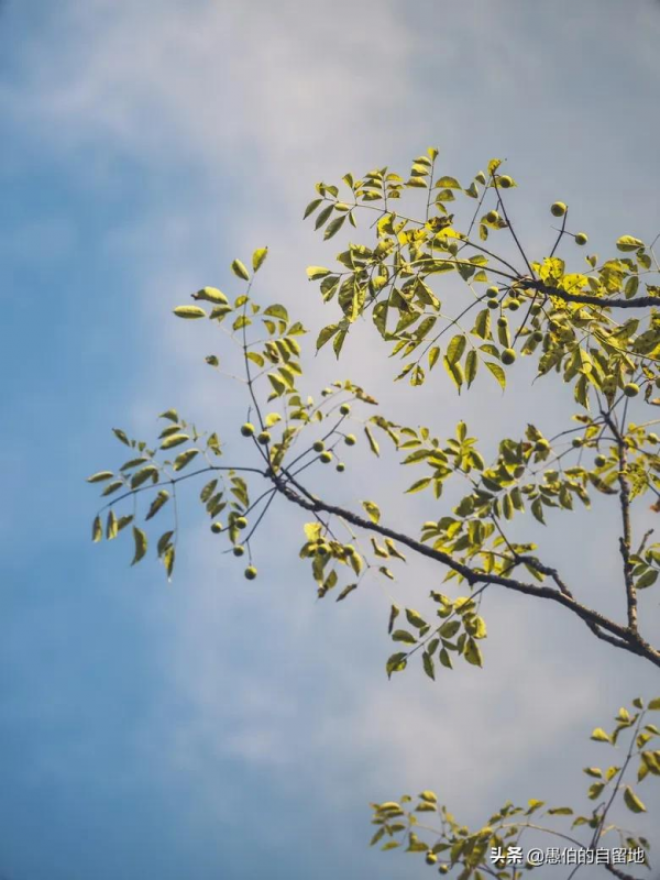 在住院最無助的日子,那個和我聊天的朋友 在住院最無助的日子,那個和我聊天的朋友