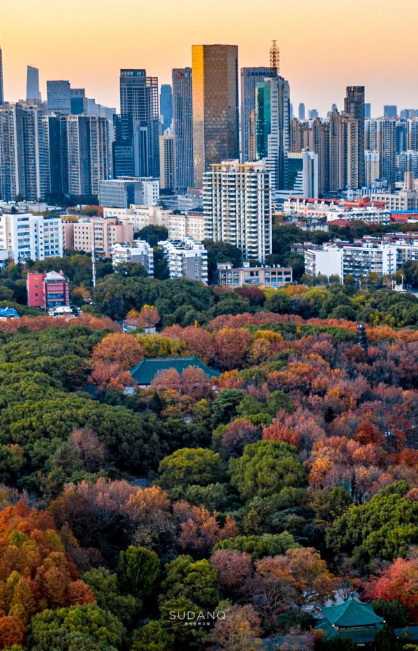 武漢人究竟多愜意?46萬平方米的城市公園猶如森林一般,景色醉人 武漢人究竟多愜意?46萬平方米的城市公園猶如森林一般,景色醉人