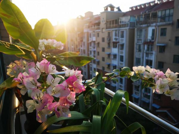 十月再見，十一月您好