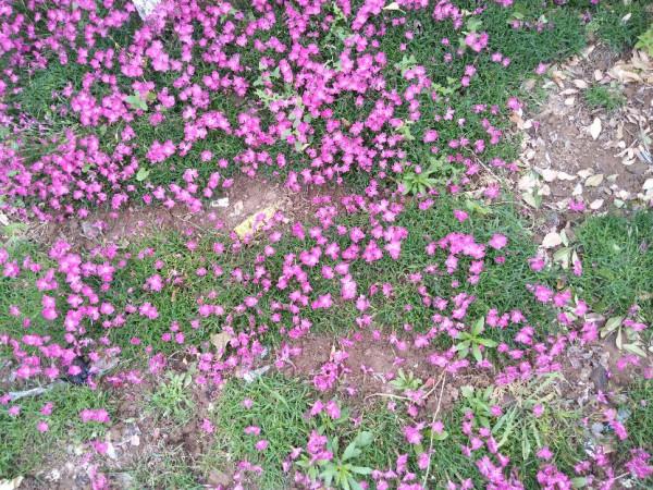 老年人記住“一多一少”益於身體健康，有助延年益壽