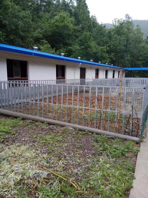 回民的養羊經值得學習