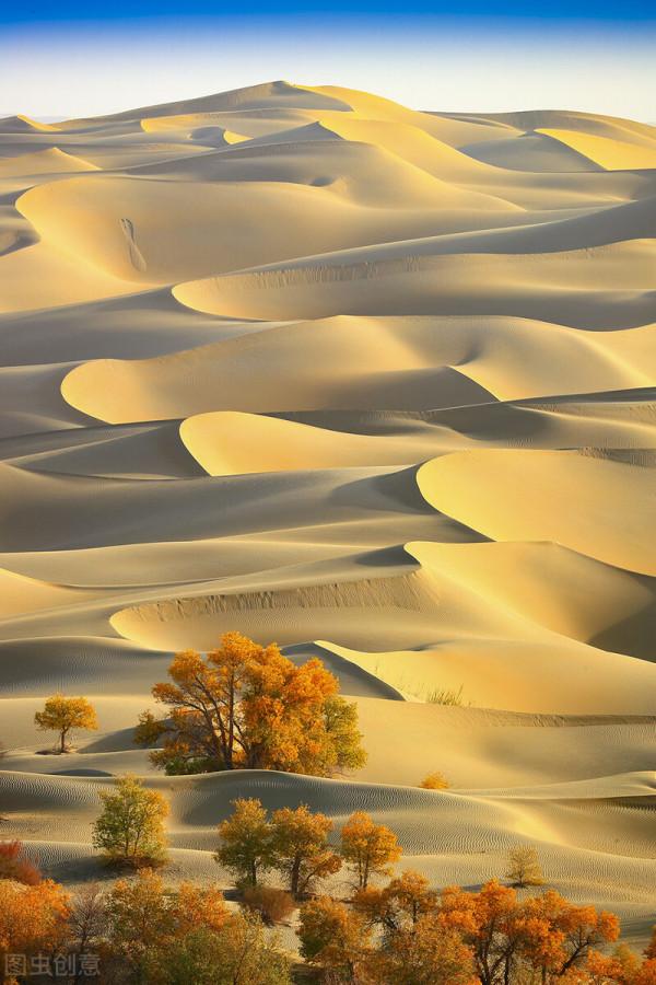 臨卦初九爻辭釋義 臨卦初九爻辭釋義