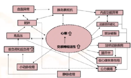 高血壓患者心率增快，首選什麼藥物？